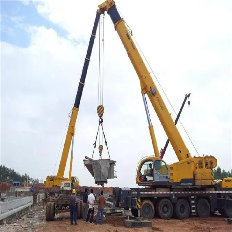 后安镇小型吊机出租电话|厂房设备吊装方案|24小时服务覆盖